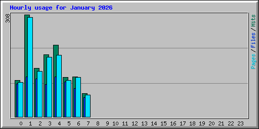 Hourly usage for January 2026